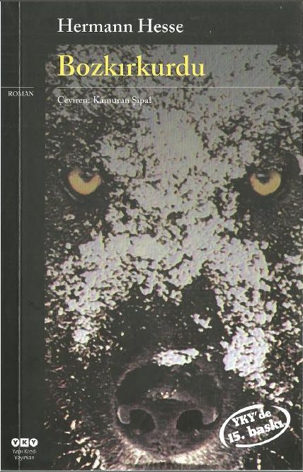 Hermann Hesse - Bozkrkurdu