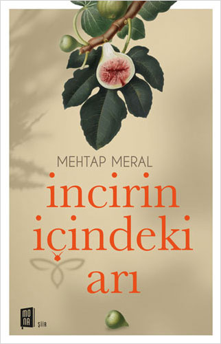 incirin iindeki ar